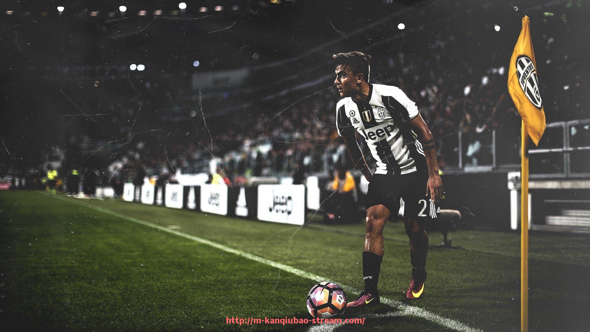 看球宝-济南主场：中超联赛的赛事与球迷支持